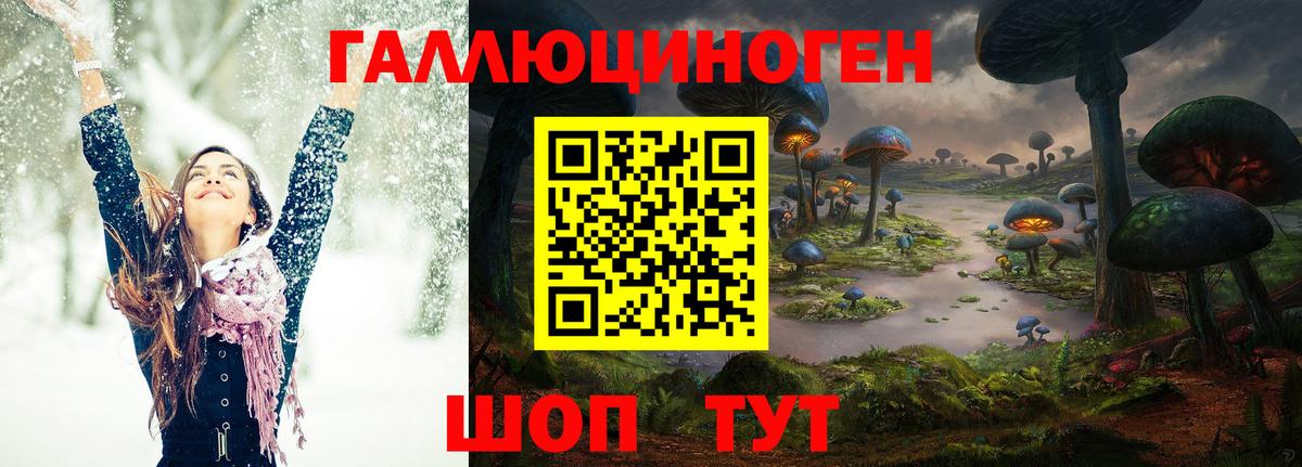 Лесной  закладки  Вход с VPN  Псилоцибиновые грибы мухоморы 